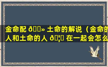 金命配 🌻 土命的解说（金命的人和土命的人 🦉 在一起会怎么样）